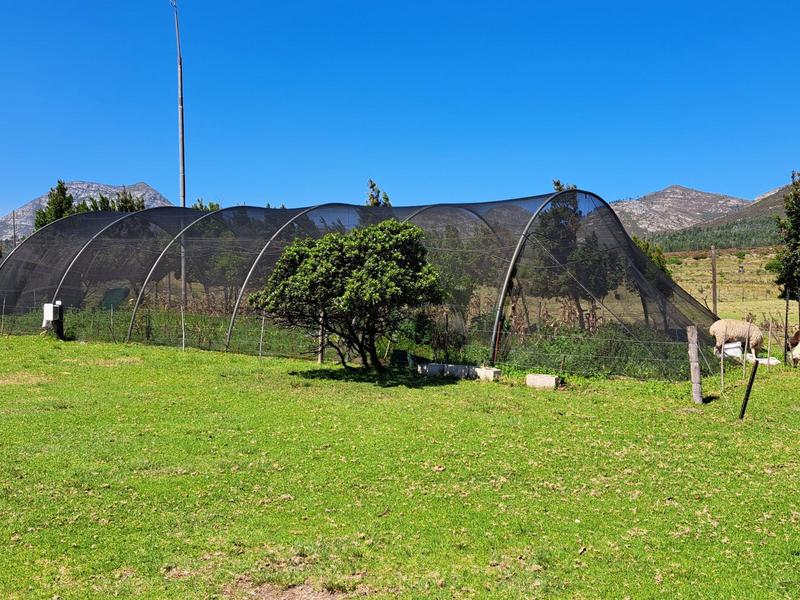 11 Bedroom Property for Sale in Kareedouw Eastern Cape